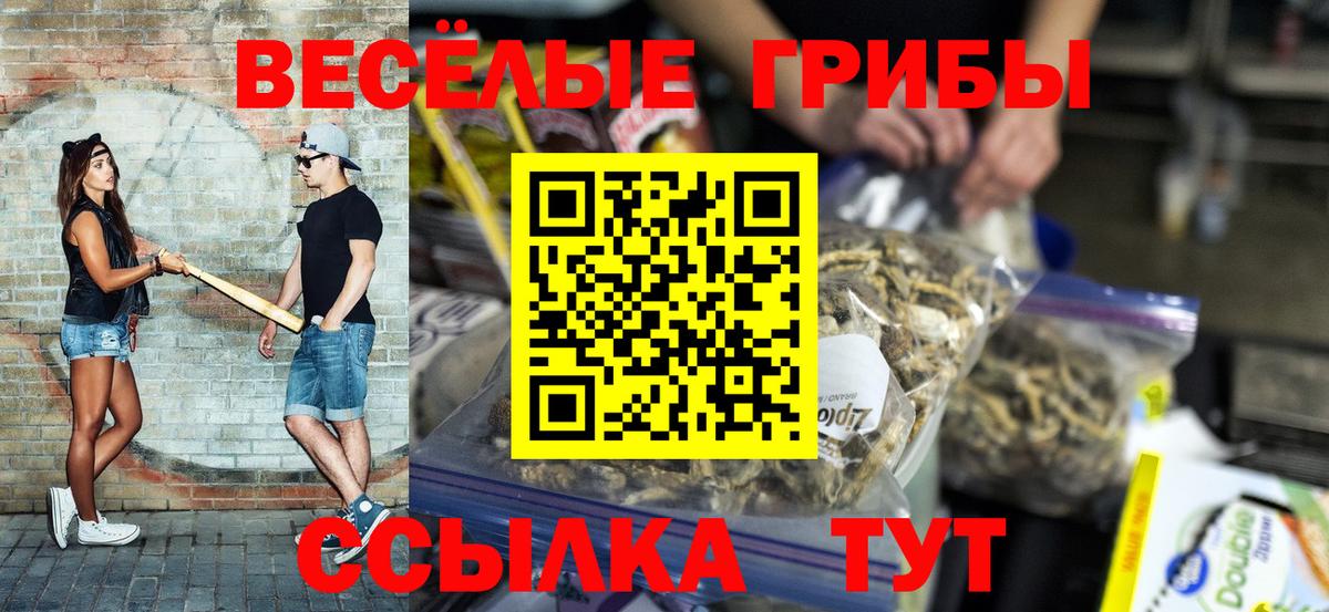 Галлюциногенные грибы Psilocybe Сорочинск