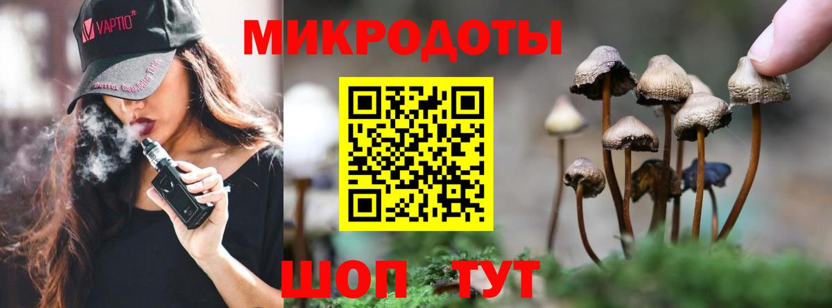 Сорочинск  Псилоцибиновые грибы Psilocybine cubensis  Вход с VPN  Галлюциногенные грибы прущие грибы 
